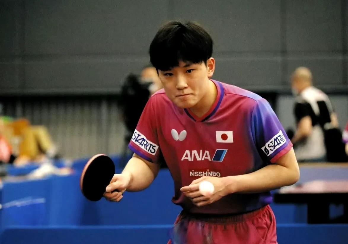 包含波兰乒乓球队强势德国乒乓球队，张本智和惊艳世界的词条