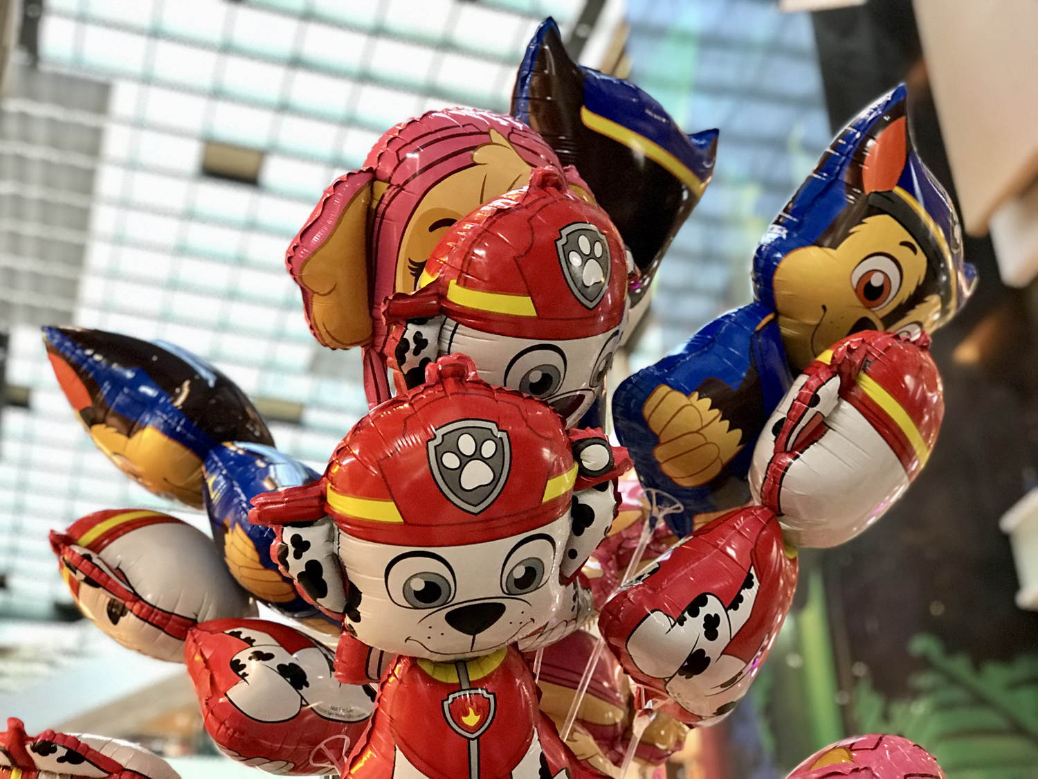 开云下载-长沙黄牛队击败宁波海盗队，实力凸显