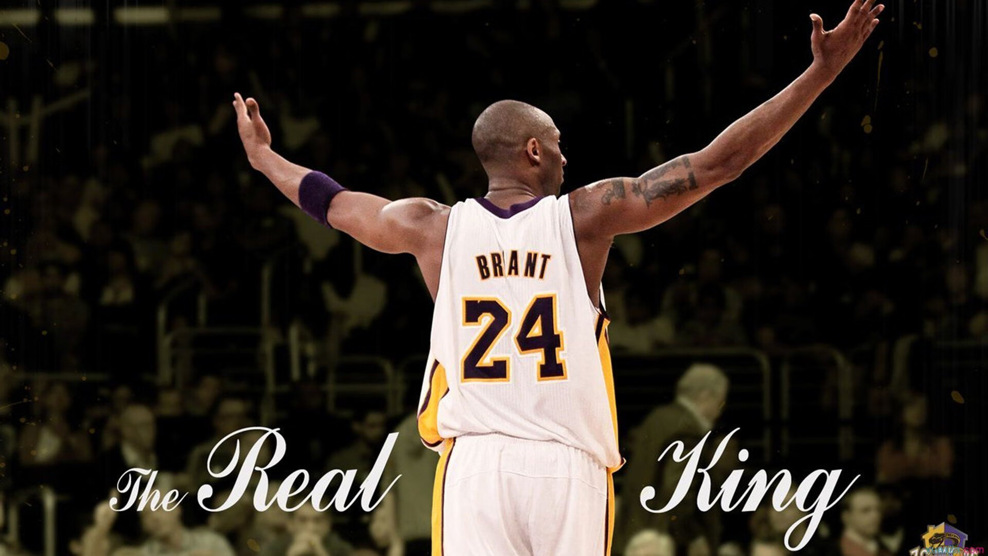 开云体育中国-绝境中的王者，伦纳德关键一击，76人强势攻克麦迪逊